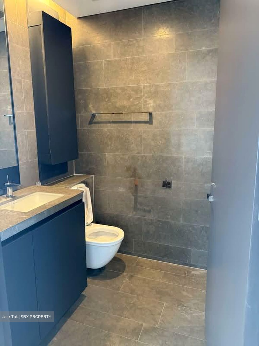 Skysuites@Anson (D2), Apartment #575492231